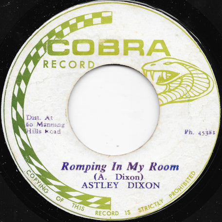 Romping In My Room / Romping Ver