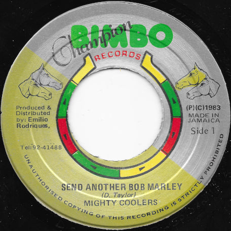 Send Another Bob Marley / Marley Ver