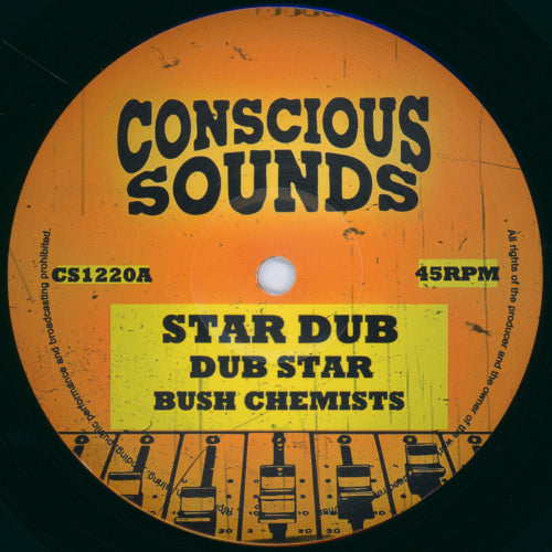 Star Dub / Dub Star / Change Must Come / Changing Dub