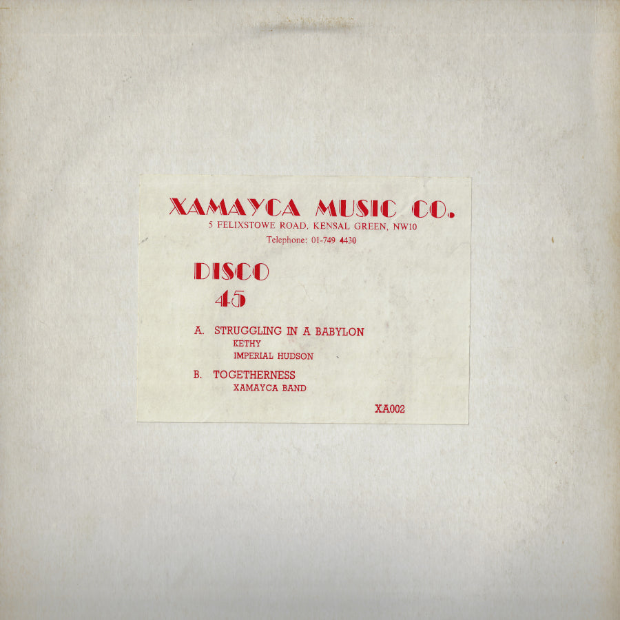 Struggling In A Babylon / Togetherness Dub