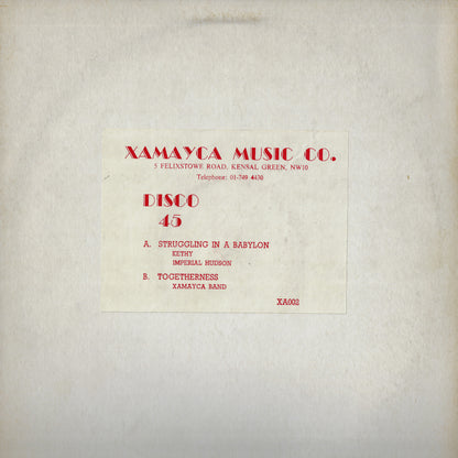 Struggling In A Babylon / Togetherness Dub