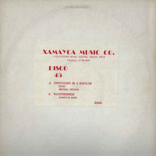 Struggling In A Babylon / Togetherness Dub