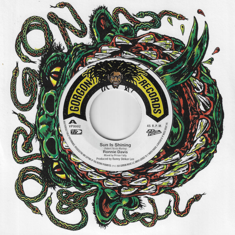 Sun Is Shining / Dub Is Shining