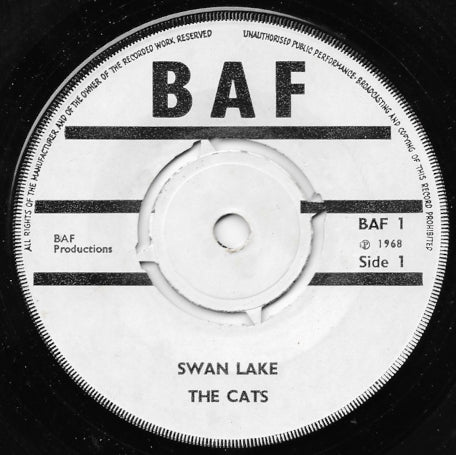 Swan Lake / Swing Low