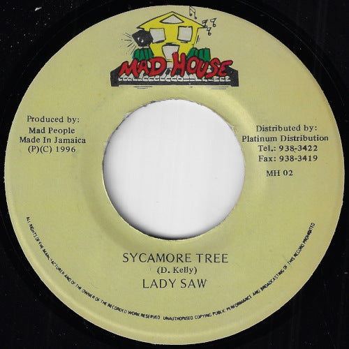 Sycamore Tree / Ver