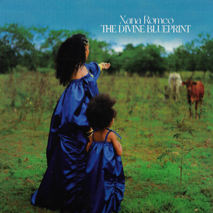 The Divine Blueprint