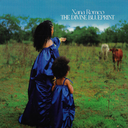 The Divine Blueprint