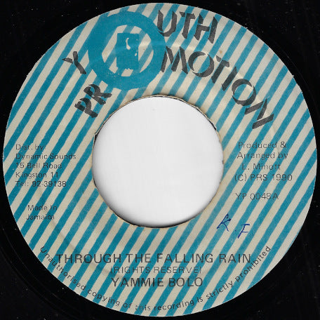 Through The Falling Rain / Ver