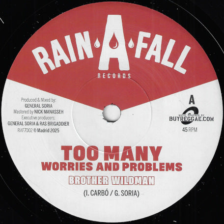 Too Many Worries And Problems / Dub Version