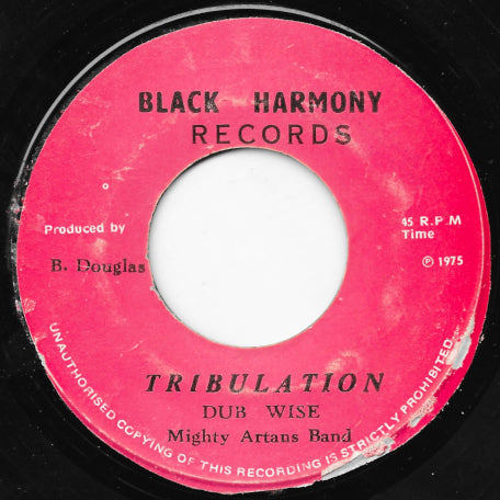 Dubwise Making Machine Rough Tribulation / Tribulation Dub Wise – Lion Vibes