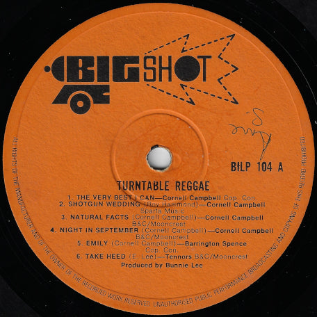 Turntable Reggae