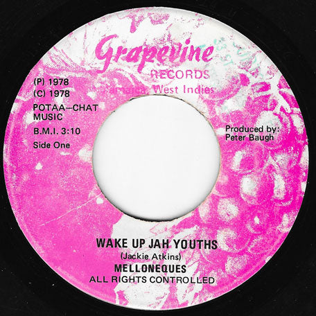 Wake Up Jah Youths / Ver