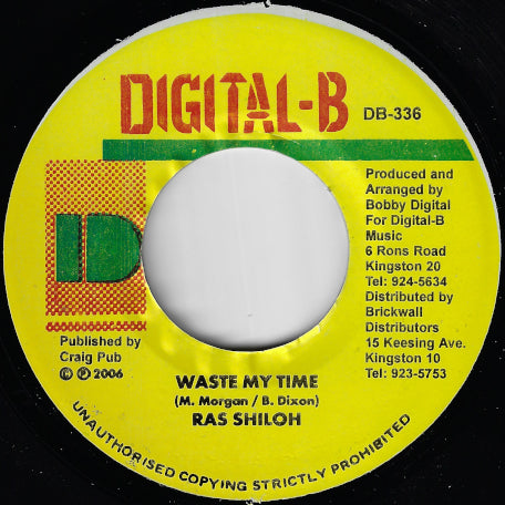 Waste My Time / Gully Gully Ver