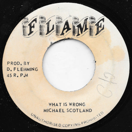 What Is Wrong / Ver