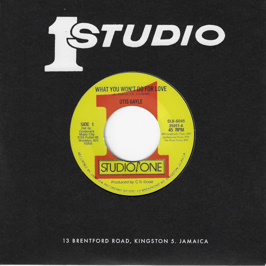 What You Won't Do For Love / What You Won't Version