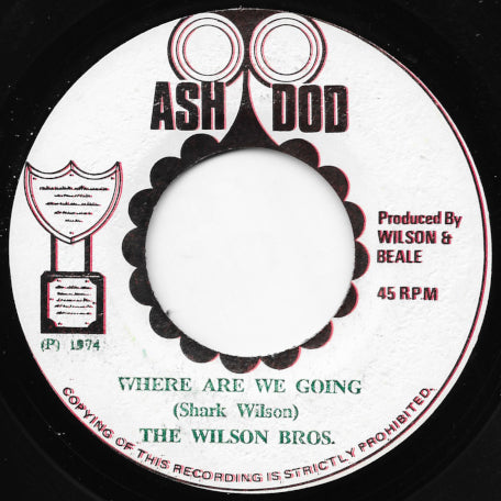 Where Are We Going / Ash Dub