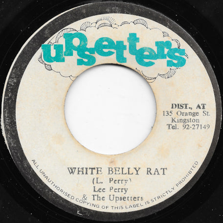 White Belly Rat / Judas Ver