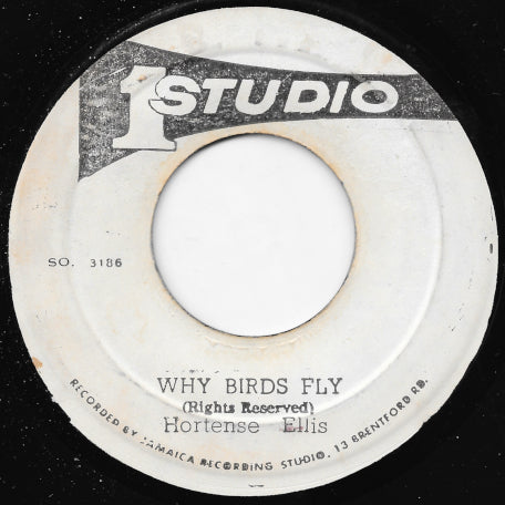 Why Birds Fly / Why Version