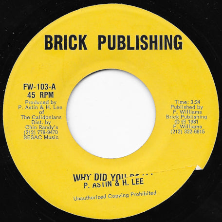 Why Did You Do It / Ver