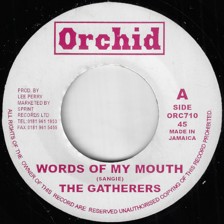 Words Of My Mouth / Word A Mouth Dub