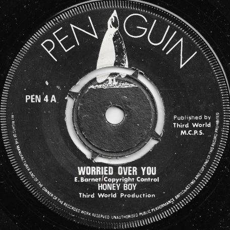 Worried Over You / Worried Ver