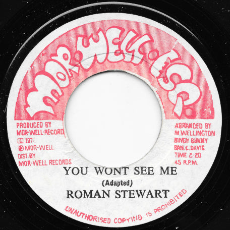 You Won't See Me / Ver