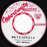 Big TV Little TV / Ver - Unity Unlimited