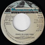 Crack In A New York / Crack In A Dub York - Joseph Hill & Culture