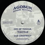 Cry Of Yeshua / Dub Conspiracy / Digital World / Future Generation Dub - Tena Stelin