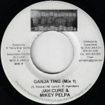 Ganja Ting (Mix 1) / Ganja Ting (Mix 2) - Jah Cure And Mikey Pelpa
