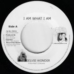 I Am What I Am / All Nations Ver - Selvie Wonder / Rasheart