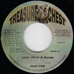 Love What A Gwan / Chest Mix Ver - Half Pint / Rohan Dwyers