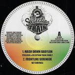Mash Down Babylon / Frontline Serenade / Dubism / Dub The Frontline - Perilous & Selection Train Family / Nat Birchall