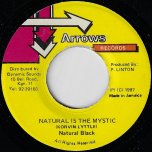 Natural Is The Mystic / Tonight Ver - Natural Black / Computer Paul