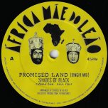 Promised Land (Binghi Mix) / Promised Land (Stepper Mix) - Shades Of Black