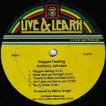 Reggae Feeling - Anthony Johnson