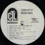 Reggae Magic - Jackie Mittoo