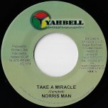 Take A Miracle / Fire And Rain Inst - Norrisman