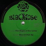The Night Of Our Lives / Dub / Haul And Pull Up / Dub - Prince Jamo