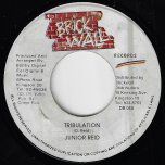 Tribulation / Version - Junior Reid