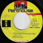 Trodding Straight Mix / Trodding Dub Mix  - Ras Shiloh