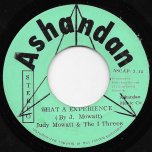 What A Experience / Ver - Judy Mowatt And The I Threes