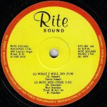 What Will I Do / Rite Mix / Jah Almighty / Rite Sound Mix - Leroy Smart 