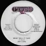 What Will It Take / Istanbul Rhythm - Jah Cure