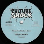 Where Has The Love Gone / Ver - Shayne Amani / The Dub Chronicles