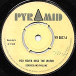 You Never Miss The Water / Got You On My Mind - Derrick And Pauline Morgan